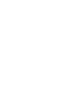 PDF Icon